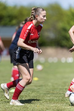 Bild 15 - F SG NieBar - IF Stjernen Flensborg : Ergebnis: 2:0